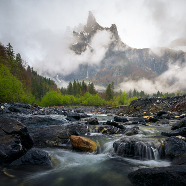 Moody Cirque