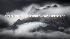 [Field Notes] New Zealand: Chasing Snow and Icebergs