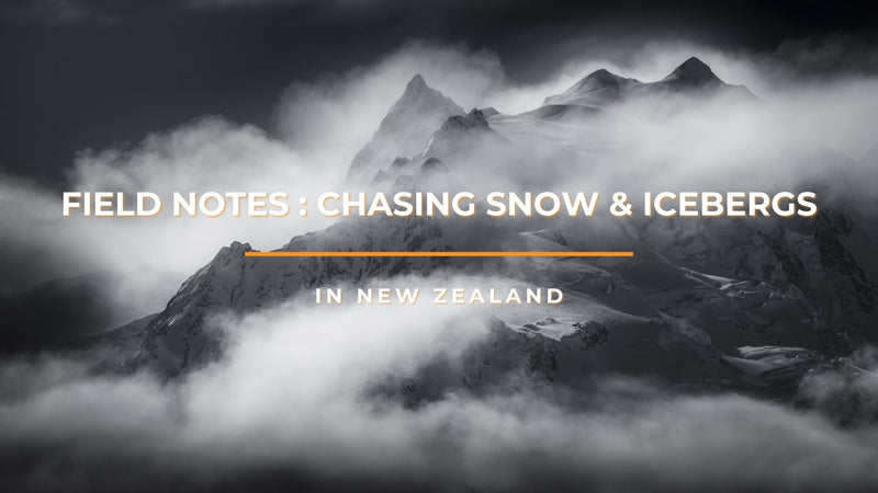 [Field Notes] New Zealand: Chasing Snow and Icebergs