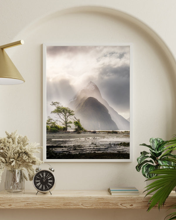 Fine Art Prints