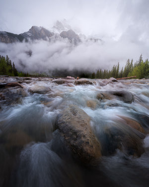 Raging river with rocks and trees, mountains shrouded in mist