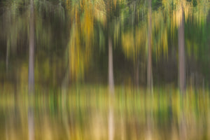 Blurred reflection of trees in water with a focus on color and movement.