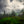 Misty forest with trees and rocks partially hidden by clouds