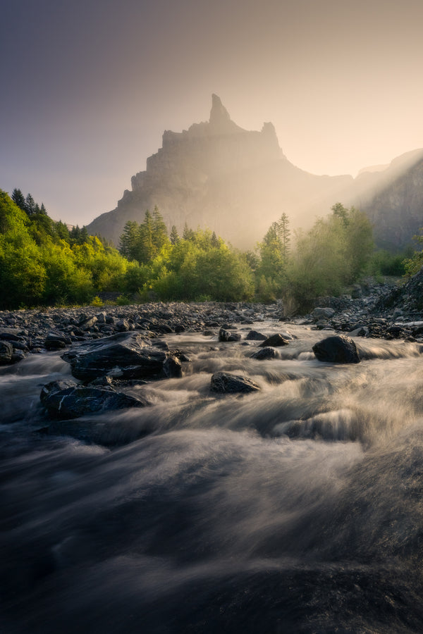 Morning Light