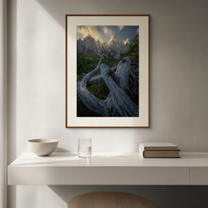 Standing Guard fine art print in a living room – Jamil Slim Photography