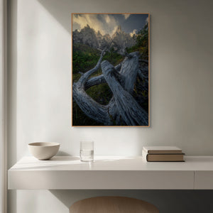 Standing Guard fine art landscape print framed on white wall – Jamil Slim Photography